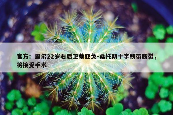 官方：里尔22岁右后卫蒂亚戈-桑托斯十字韧带断裂，将接受手术