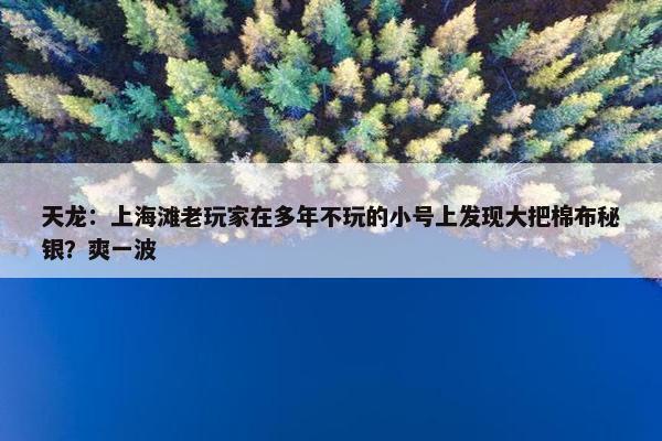 天龙：上海滩老玩家在多年不玩的小号上发现大把棉布秘银？爽一波