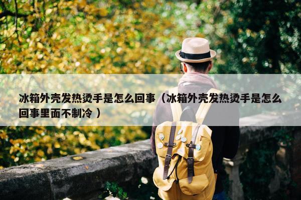 冰箱外壳发热烫手是怎么回事（冰箱外壳发热烫手是怎么回事里面不制冷 ）