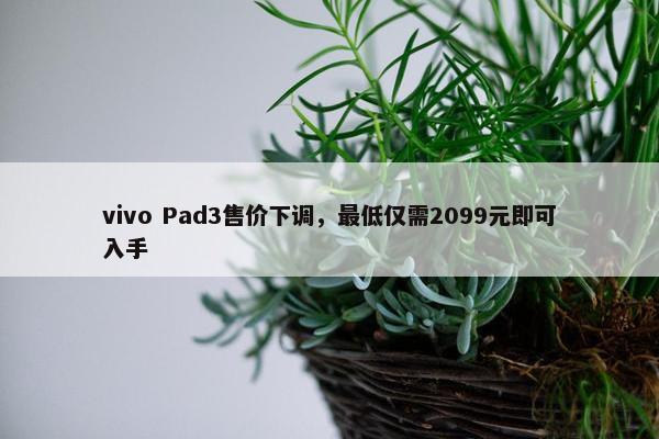 vivo Pad3售价下调，最低仅需2099元即可入手