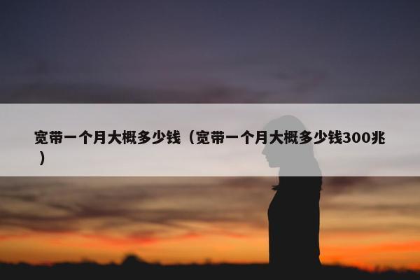 宽带一个月大概多少钱（宽带一个月大概多少钱300兆 ）