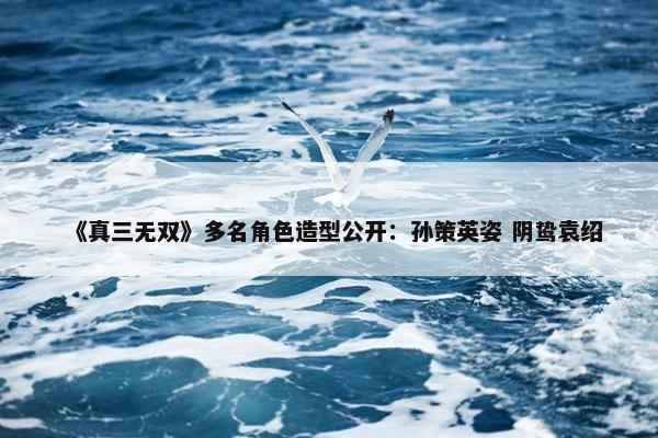 《真三无双》多名角色造型公开：孙策英姿 阴鸷袁绍