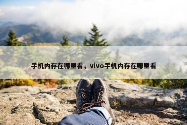 手机内存在哪里看，vivo手机内存在哪里看