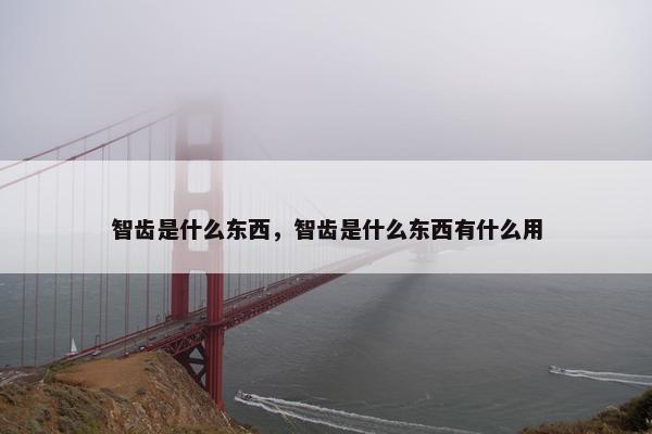 智齿是什么东西，智齿是什么东西有什么用