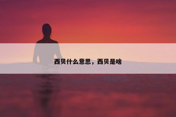 西贝什么意思，西贝是啥