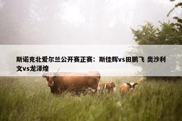 斯诺克北爱尔兰公开赛正赛：斯佳辉vs田鹏飞 奥沙利文vs龙泽煌