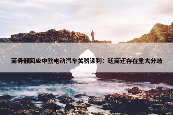 商务部回应中欧电动汽车关税谈判：磋商还存在重大分歧