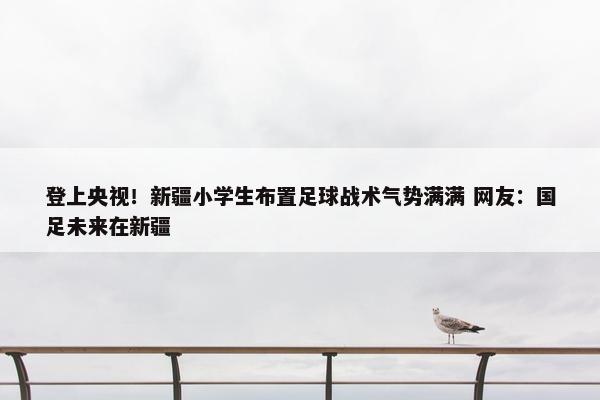 登上央视！新疆小学生布置足球战术气势满满 网友：国足未来在新疆