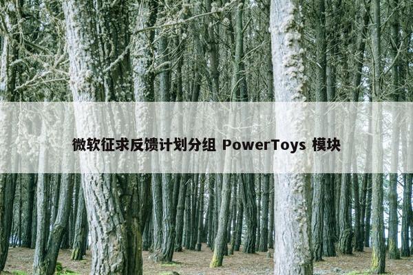 微软征求反馈计划分组 PowerToys 模块