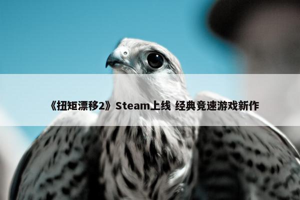 《扭矩漂移2》Steam上线 经典竞速游戏新作