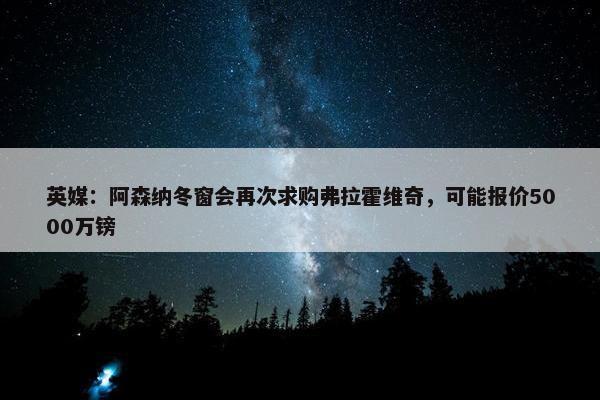 英媒：阿森纳冬窗会再次求购弗拉霍维奇，可能报价5000万镑