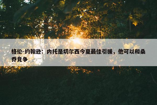 格伦-约翰逊：内托是切尔西今夏最佳引援，他可以和桑乔竞争