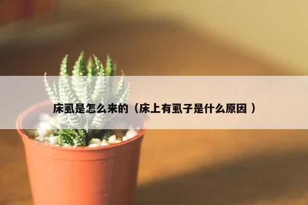 床虱是怎么来的（床上有虱子是什么原因 ）