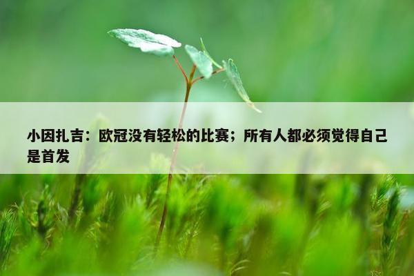 小因扎吉：欧冠没有轻松的比赛；所有人都必须觉得自己是首发