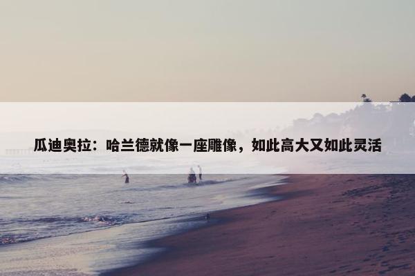 瓜迪奥拉：哈兰德就像一座雕像，如此高大又如此灵活