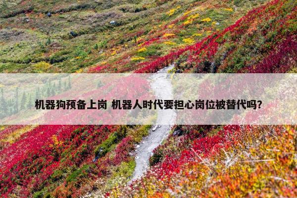 机器狗预备上岗 机器人时代要担心岗位被替代吗？