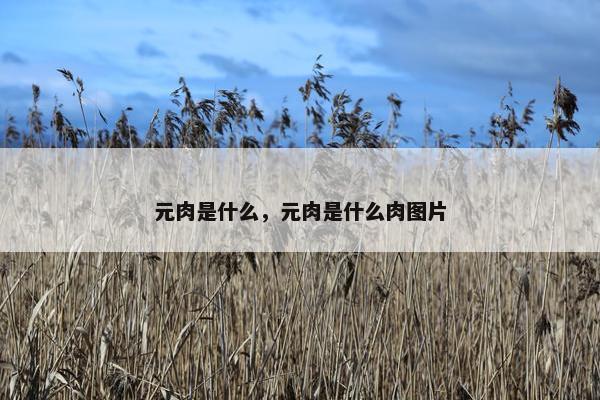 元肉是什么，元肉是什么肉图片