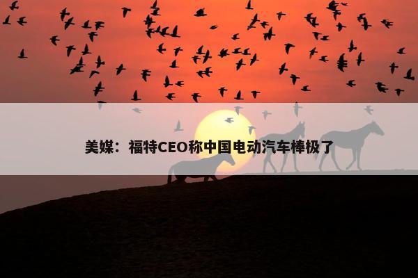 美媒：福特CEO称中国电动汽车棒极了