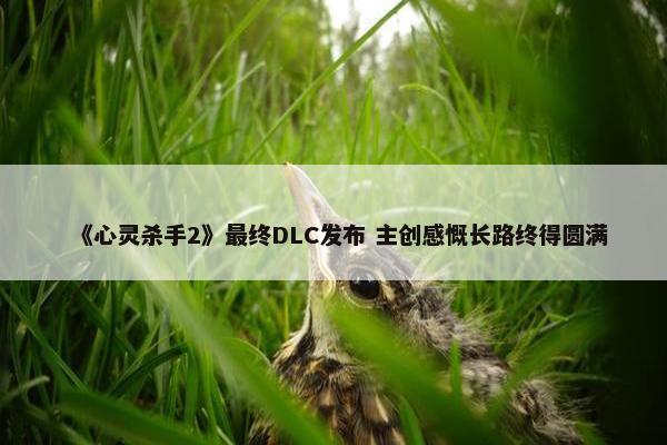 《心灵杀手2》最终DLC发布 主创感慨长路终得圆满