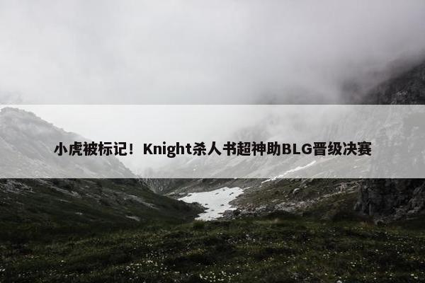 小虎被标记！Knight杀人书超神助BLG晋级决赛