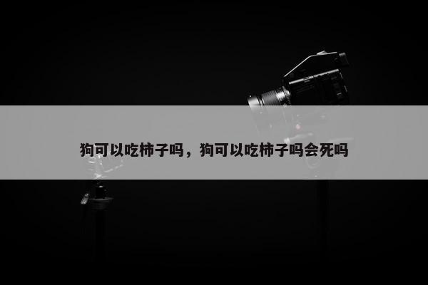 狗可以吃柿子吗，狗可以吃柿子吗会死吗