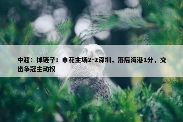 中超：掉链子！申花主场2-2深圳，落后海港1分，交出争冠主动权