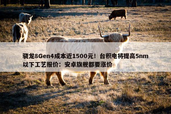 骁龙8Gen4成本近1500元！台积电将提高5nm以下工艺报价：安卓旗舰都要涨价