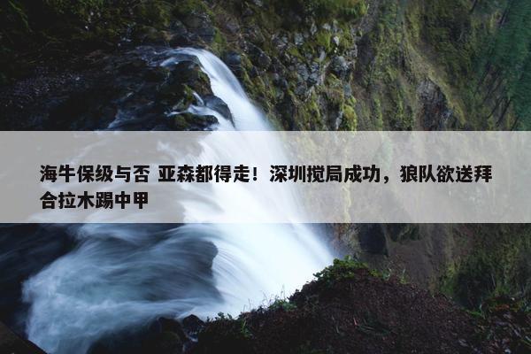 海牛保级与否 亚森都得走！深圳搅局成功，狼队欲送拜合拉木踢中甲