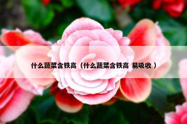 什么蔬菜含铁高（什么蔬菜含铁高 易吸收 ）