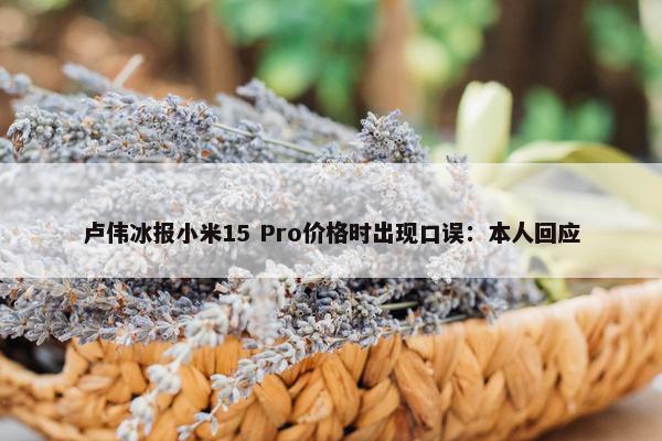 卢伟冰报小米15 Pro价格时出现口误：本人回应