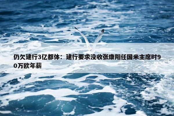 仍欠建行3亿都体：建行要求没收张康阳任国米主席时90万欧年薪