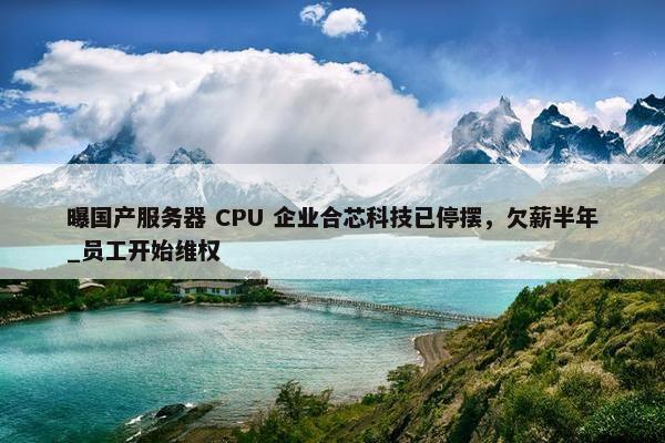 曝国产服务器 CPU 企业合芯科技已停摆，欠薪半年_员工开始维权