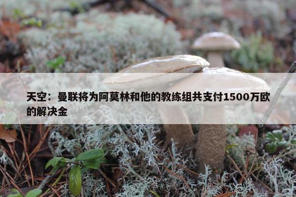 天空：曼联将为阿莫林和他的教练组共支付1500万欧的解决金