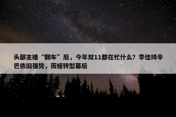 头部主播“翻车”后，今年双11都在忙什么？李佳琦辛巴依旧强势，薇娅转型幕后