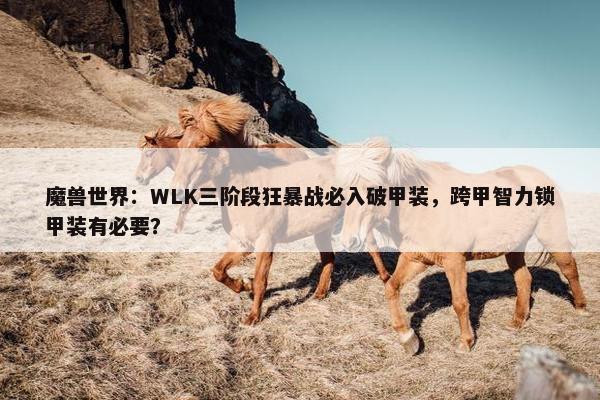 魔兽世界：WLK三阶段狂暴战必入破甲装，跨甲智力锁甲装有必要？