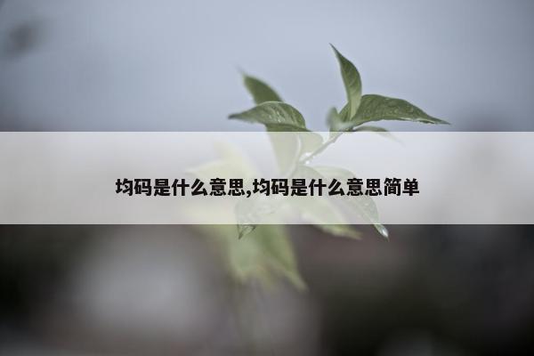 均码是什么意思,均码是什么意思简单