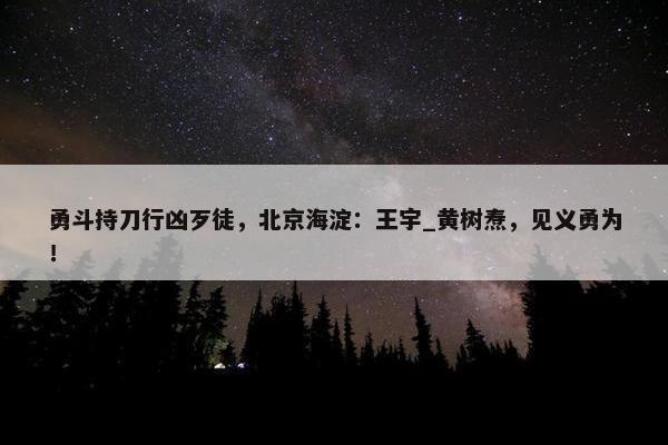 勇斗持刀行凶歹徒，北京海淀：王宇_黄树焘，见义勇为！