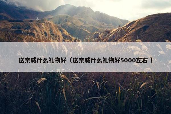 送亲戚什么礼物好（送亲戚什么礼物好5000左右 ）