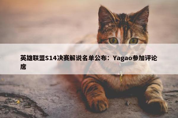 英雄联盟S14决赛解说名单公布：Yagao参加评论席