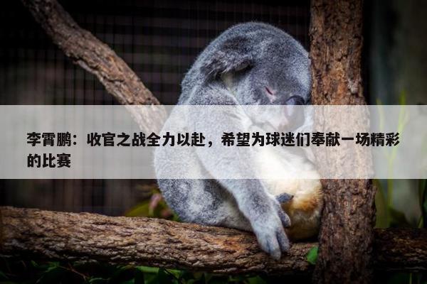 李霄鹏：收官之战全力以赴，希望为球迷们奉献一场精彩的比赛