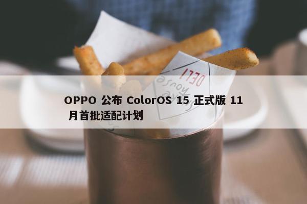 OPPO 公布 ColorOS 15 正式版 11 月首批适配计划