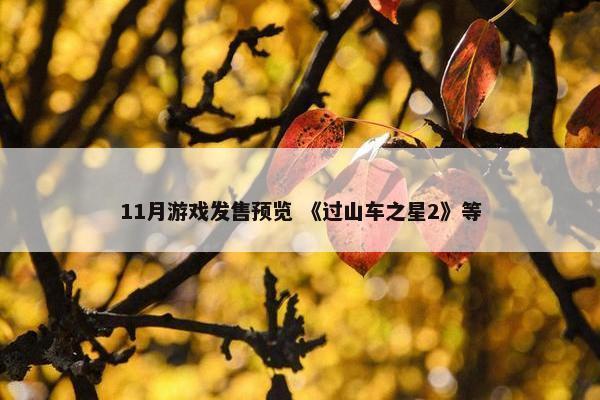 11月游戏发售预览 《过山车之星2》等