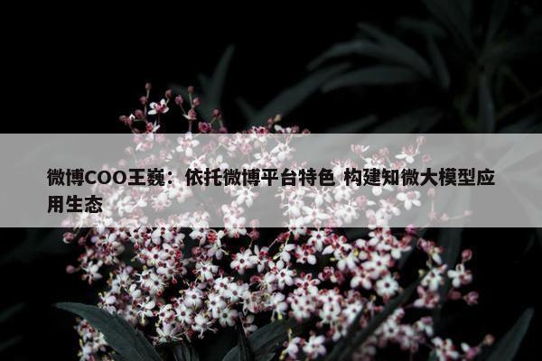 微博COO王巍：依托微博平台特色 构建知微大模型应用生态