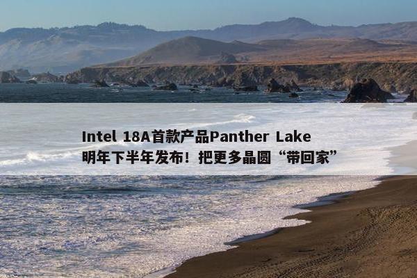 Intel 18A首款产品Panther Lake明年下半年发布！把更多晶圆“带回家”