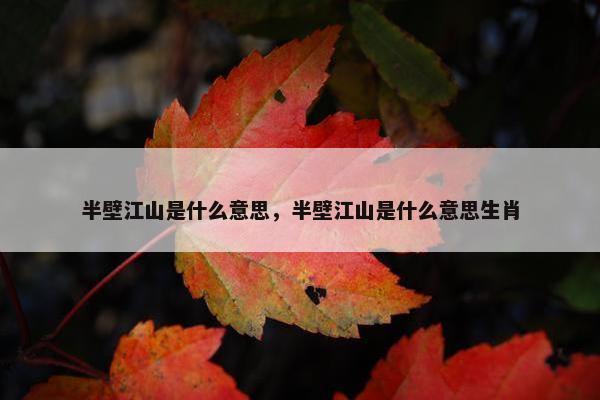 半壁江山是什么意思，半壁江山是什么意思生肖