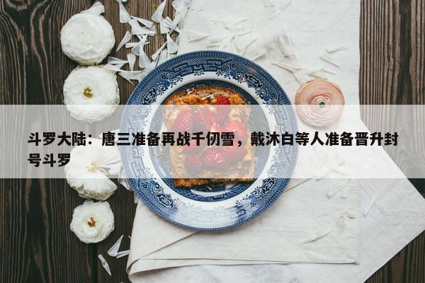 斗罗大陆：唐三准备再战千仞雪，戴沐白等人准备晋升封号斗罗