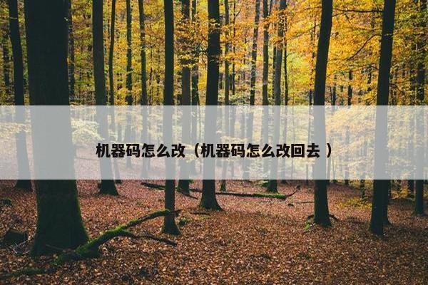 机器码怎么改（机器码怎么改回去 ）