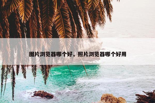 图片浏览器哪个好，照片浏览器哪个好用