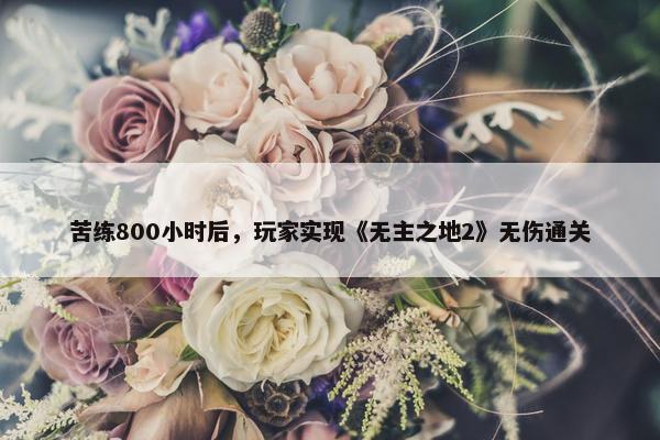 苦练800小时后，玩家实现《无主之地2》无伤通关