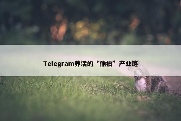 Telegram养活的“偷拍”产业链